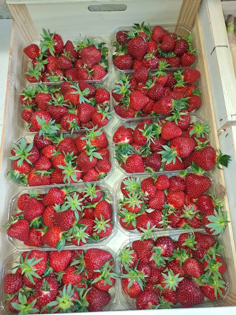 Les fraises