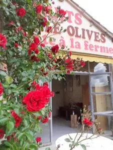 magasin avec roses