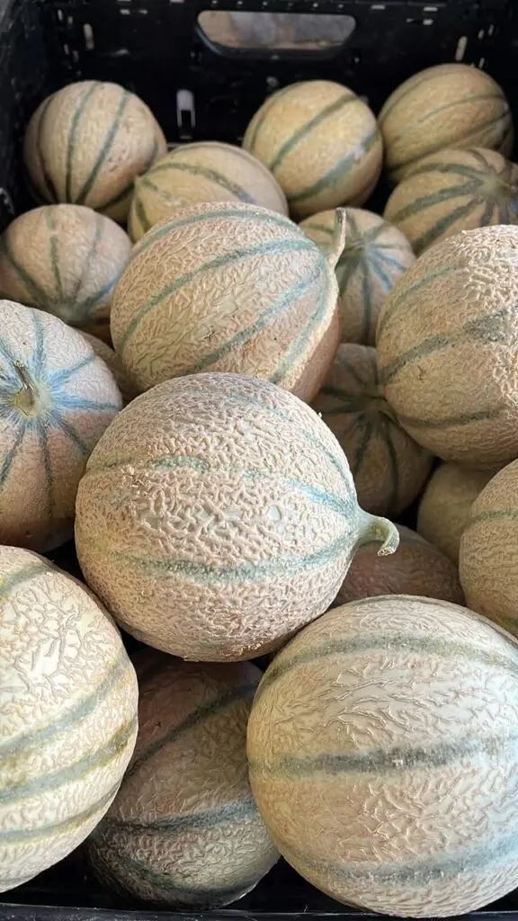 Les melons